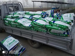 非瘟時代，裝卸品質 守護養殖安全的堅實防線